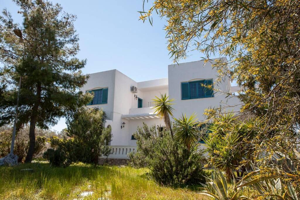 Villa Velissarios: Wonderful Villa Next To Beach Aegina Kültér fotó