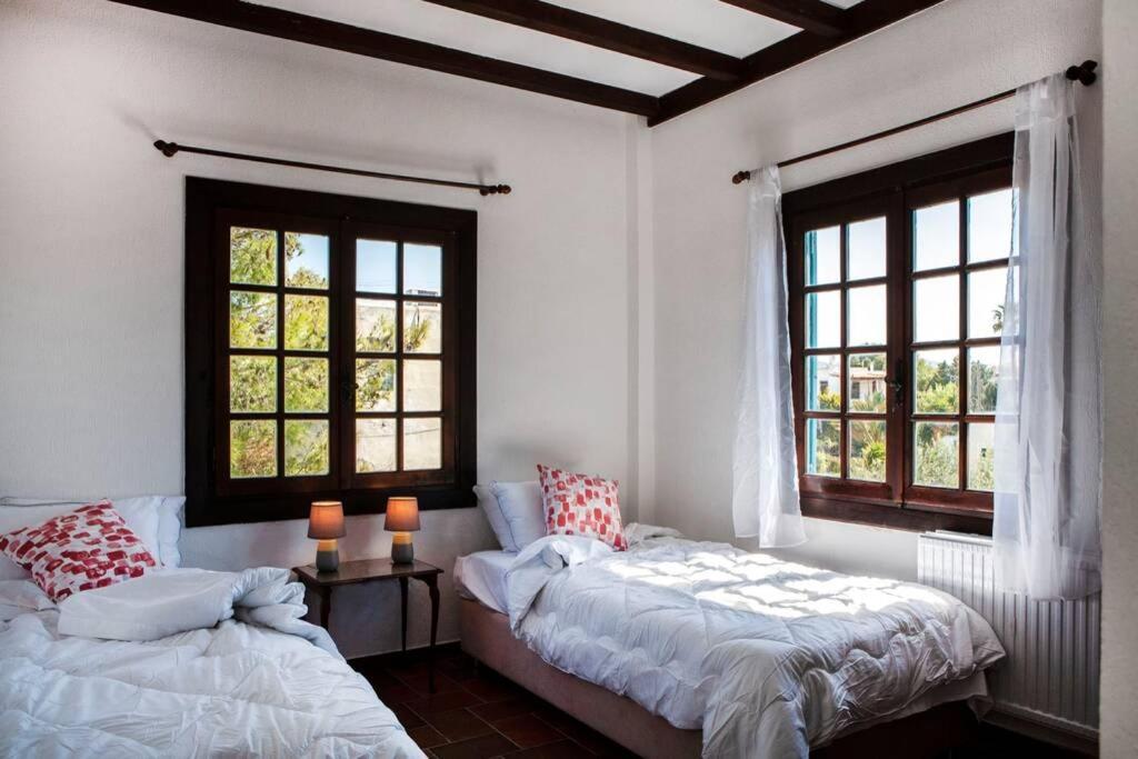 Villa Velissarios: Wonderful Villa Next To Beach Aegina Kültér fotó