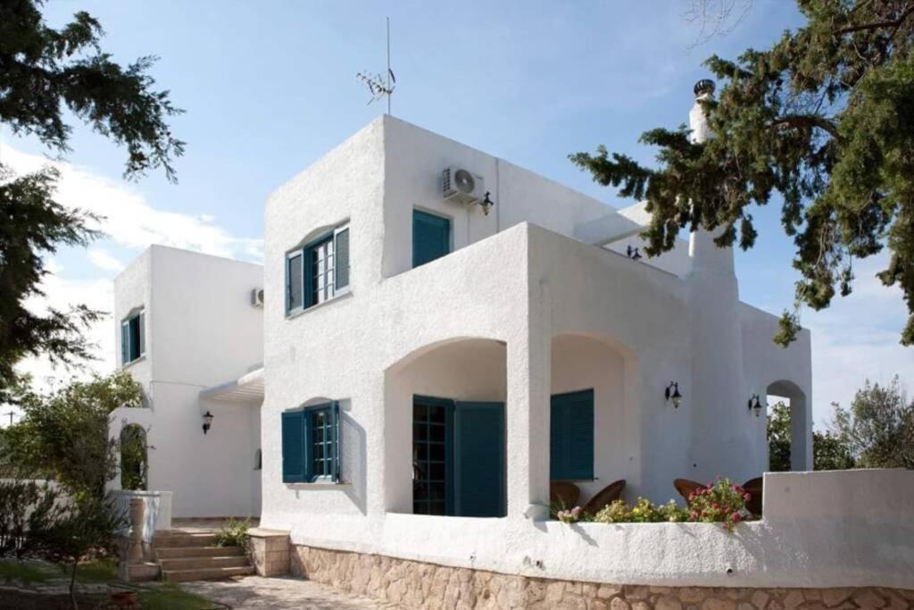 Villa Velissarios: Wonderful Villa Next To Beach Aegina Kültér fotó