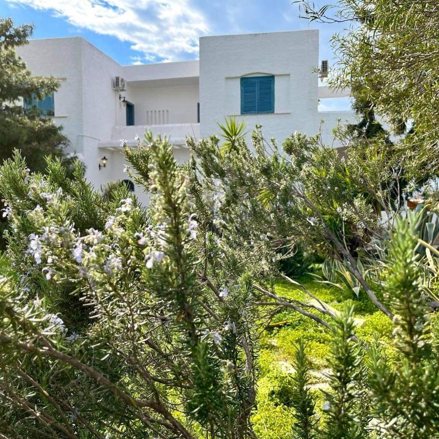 Villa Velissarios: Wonderful Villa Next To Beach Aegina Kültér fotó